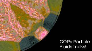 COPs Particle Fluids tricks! (custom rasterizer / dispersion distort)